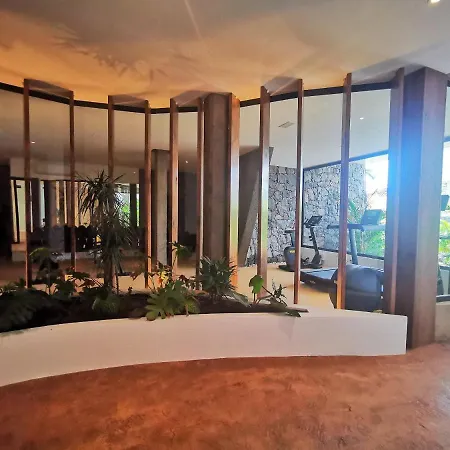 Apartment Brand New Surrounded By Tropical Gardens!